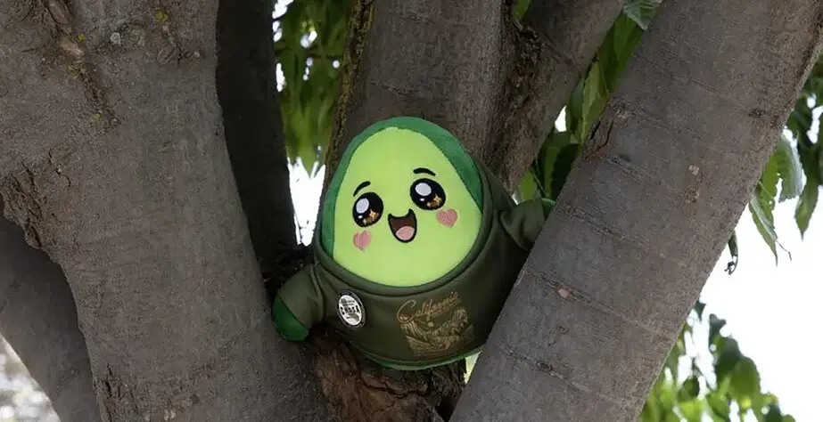 Angelique Ronald's stuffed toy in the tree