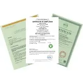 Toyseei Certificate