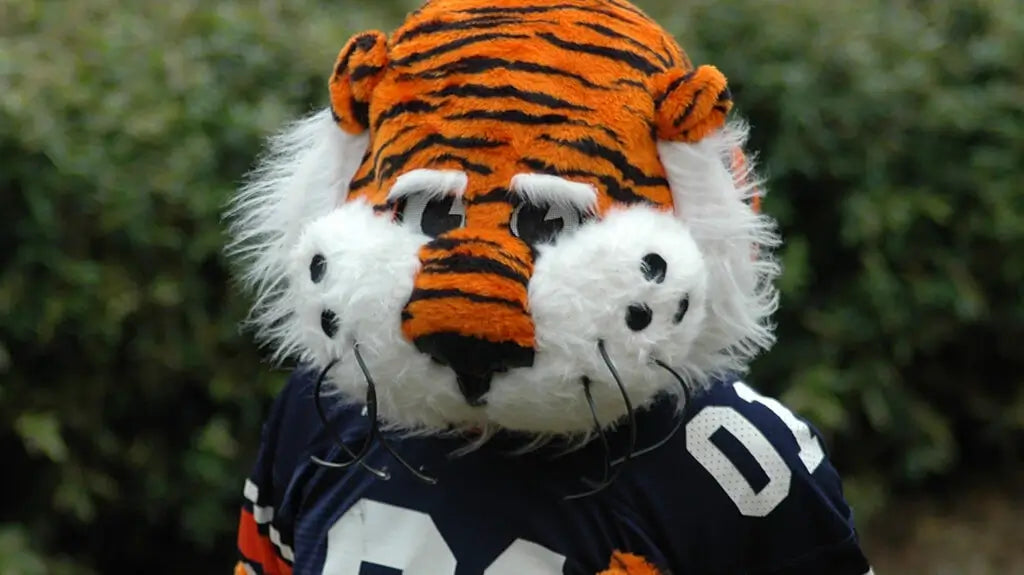 Team maskot plyschdocka kostym