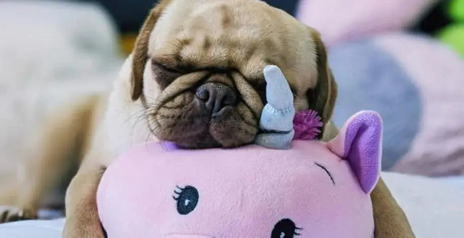 What Are the Benefits of Plush Toys for Dogs- Puppy lying on stuffed toy