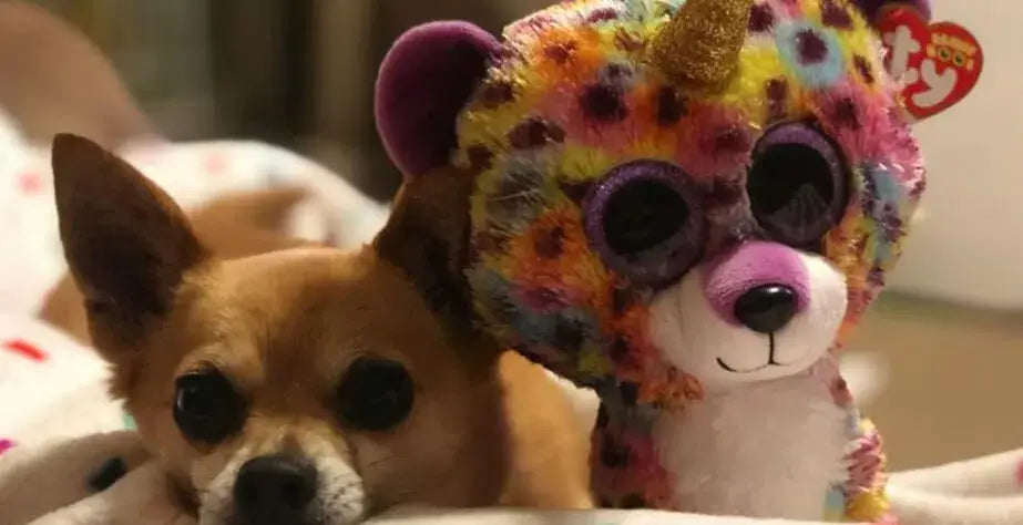 What Are the Benefits of Plush Toys for Dogs- Puppies and colorful stuffed animals