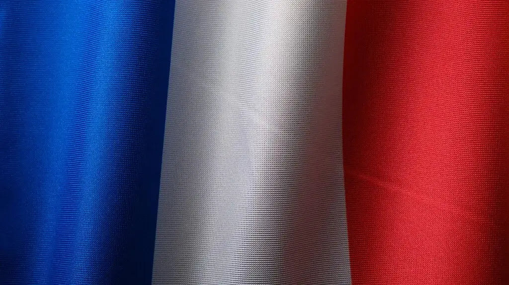 Les peluches mascottes des Jeux Olympiques de Paris 2024  un symbole de soutien pour les athlètes français- Drapeau de l