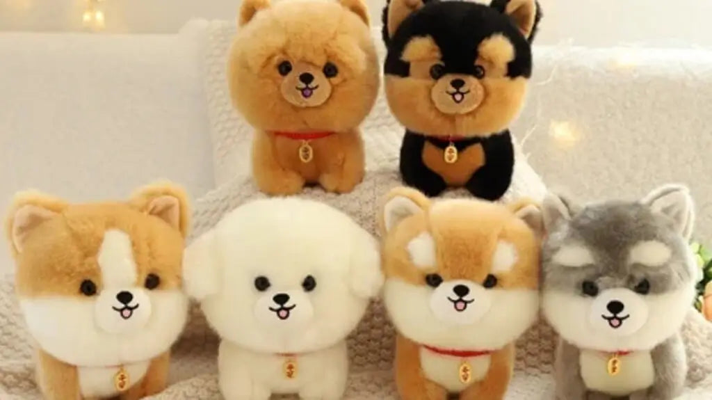 Έξι λούτρινα κουτάβια