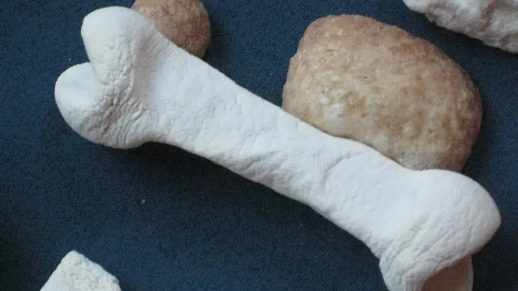 Kemik şeklinde yavru köpek peluş oyuncak