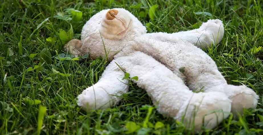 An unstuffed stuffed bear lies on the lawn