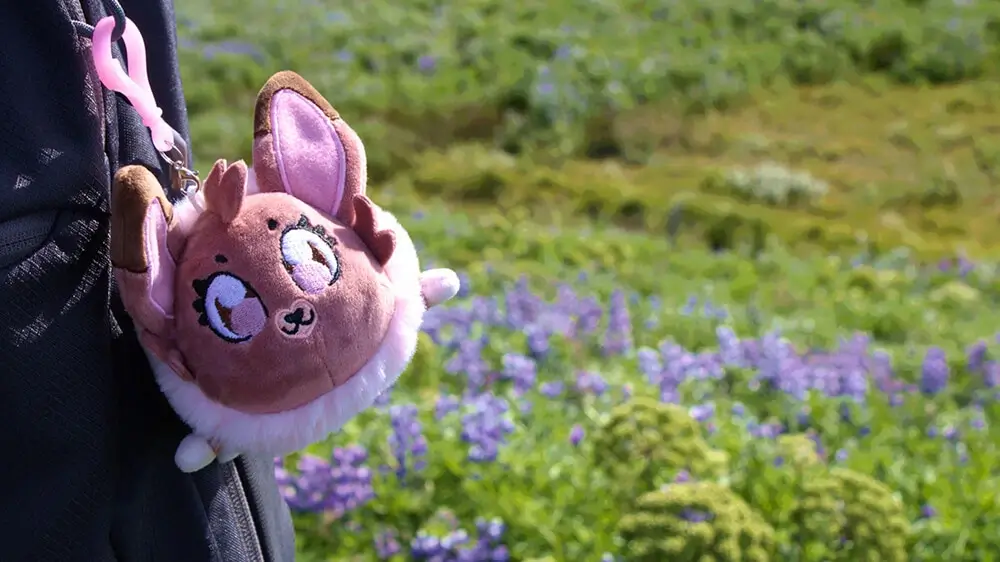 Customer feedback plush toys and lawn