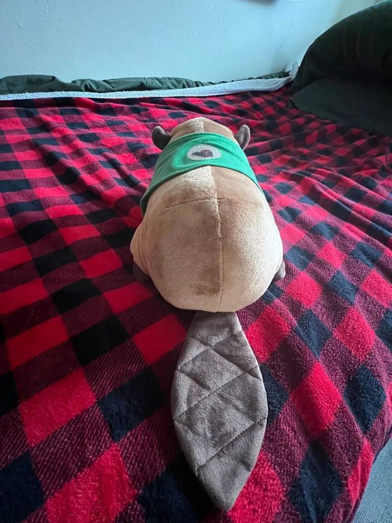 Customer return picture Rear view of beaver plush toy