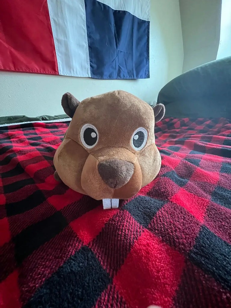 Customer return picture of beaver plush toy front view