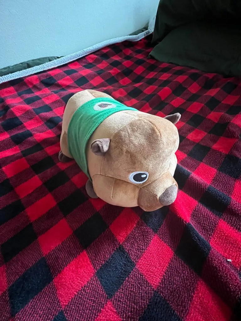 Customer return picture side view of beaver plush toy