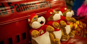 Marmot School Mascot Plush Toys for Sale